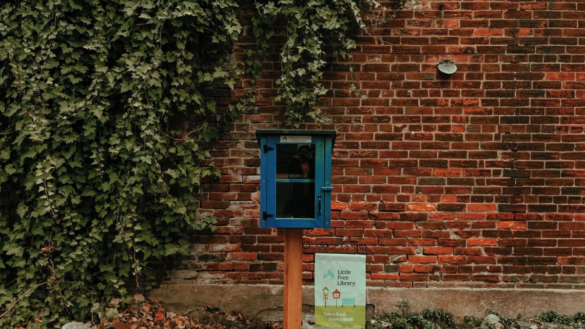 Charming Little Free Library in a blue box, set against a rustic brick wall with lush ivy.