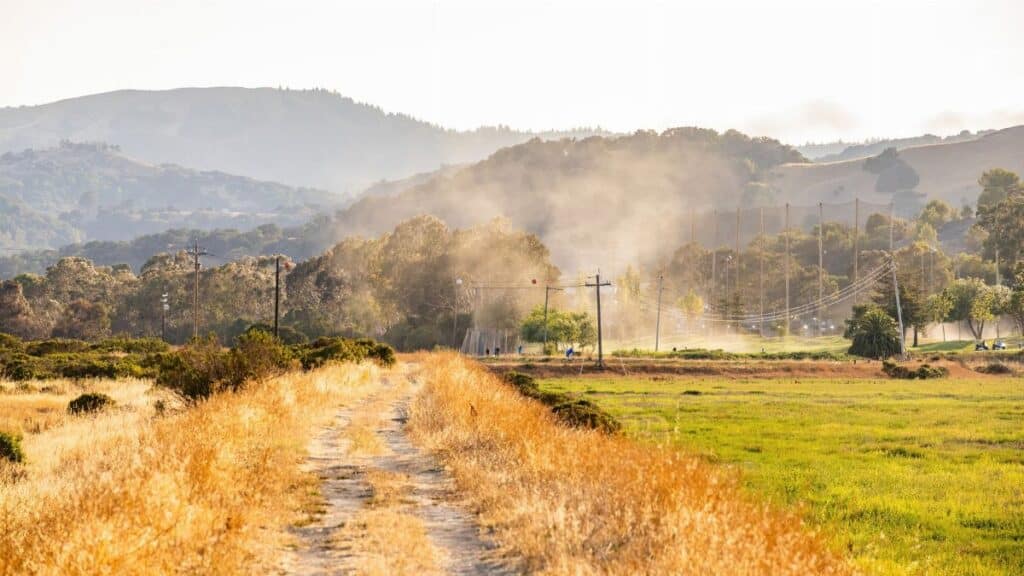 A picturesque view of a country path with green and brown grass, trees, and mountains in the distance.