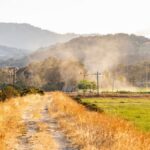 A picturesque view of a country path with green and brown grass, trees, and mountains in the distance.