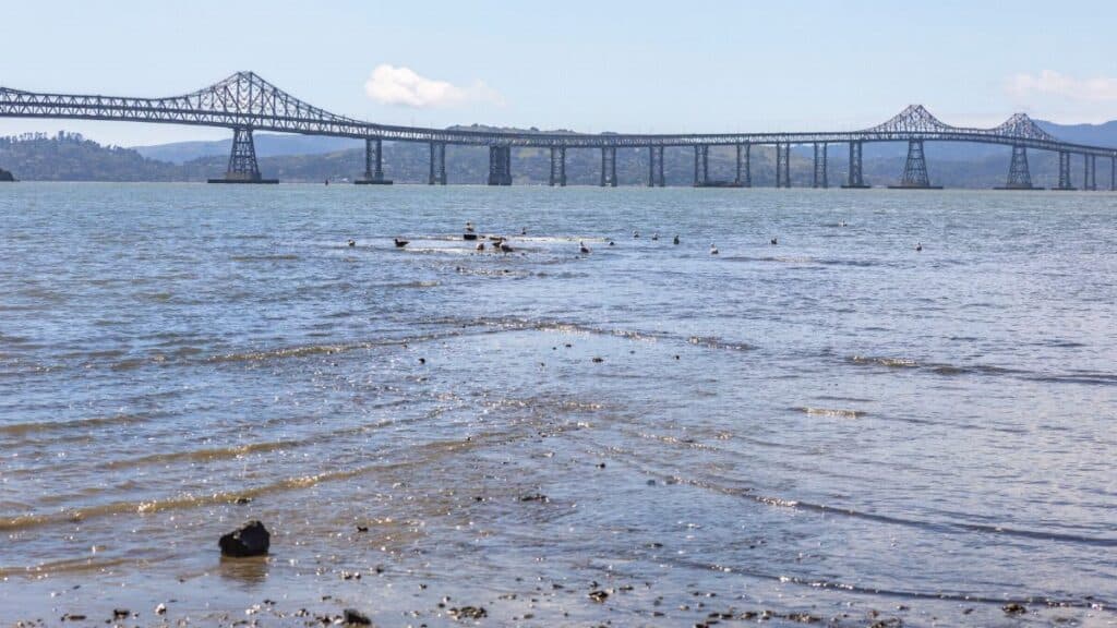 Rich coastal view of the Richmond-San Rafael Bridge in California, spanning serene blue waters of the bay.