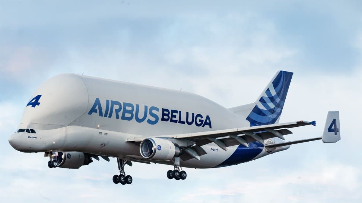 Airbus Beluga aircraft flying through a clear sky, showcasing its distinct design.