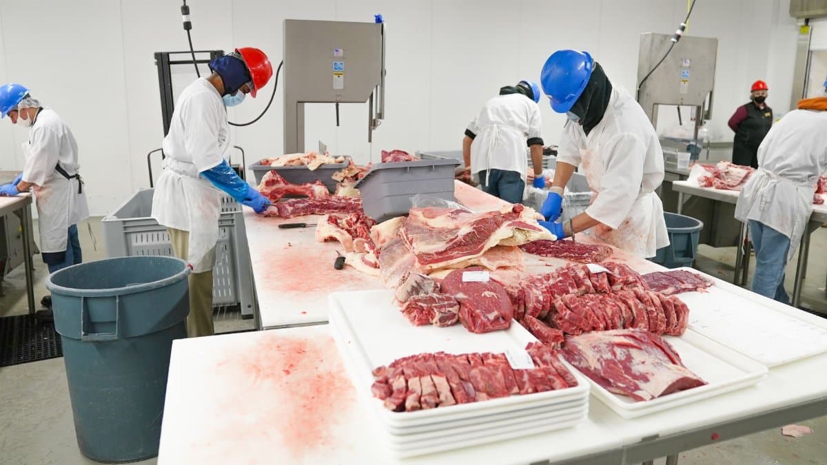 Workers in a meat processing facility wearing safety gear and cutting meat indoors.