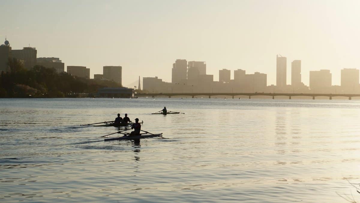 Rowers on a calm river with a misty sunrise and city skyline backdrop.