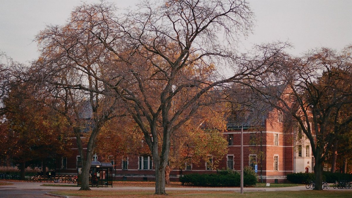 Scenic view of Michigan State University campus with autumn foliage and historic architecture.