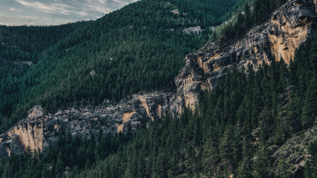 A breathtaking view of a lush forested mountain landscape under a serene sky.