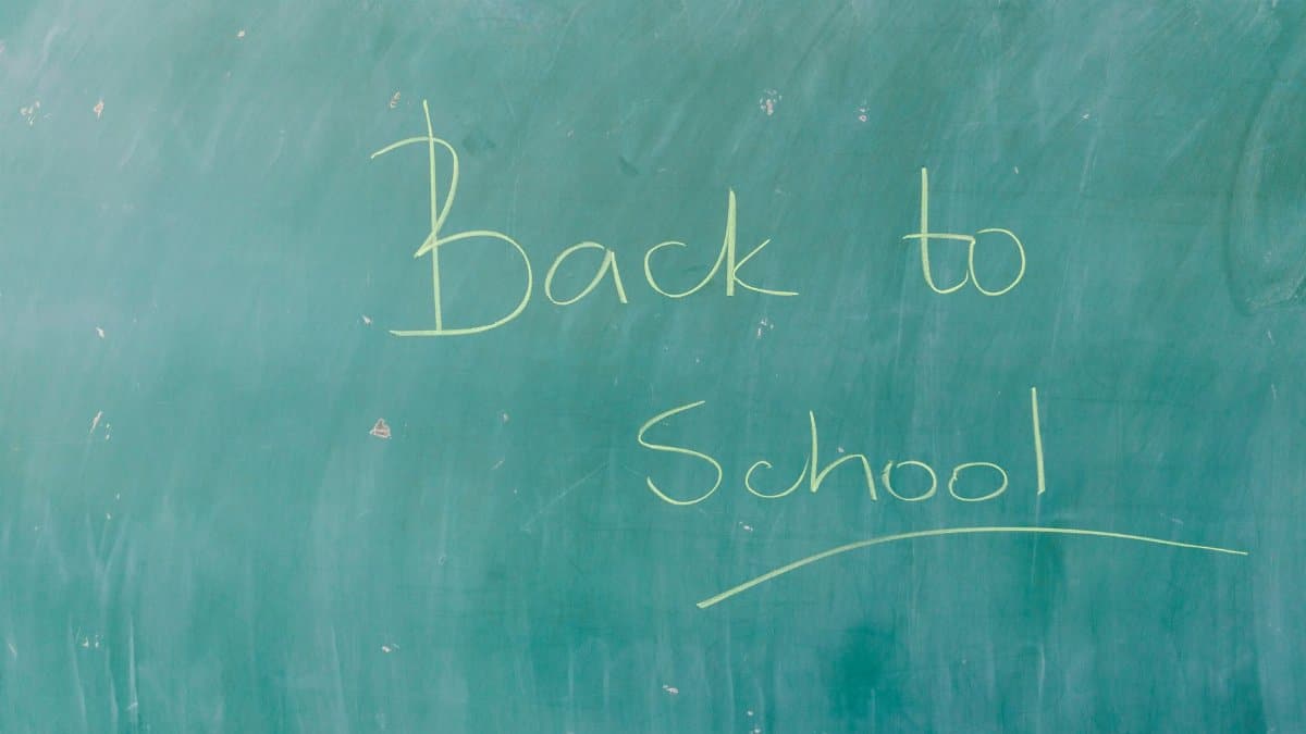 Green chalkboard with 'Back to School' written in chalk, perfect for education themes.