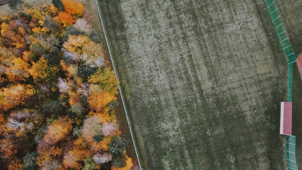 Drone view of straight roadway between various trees in woodland and fence in autumn