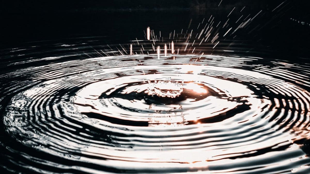 Detailed close-up of a water droplet causing ripples and splashes on a dark water surface, captured with striking light.