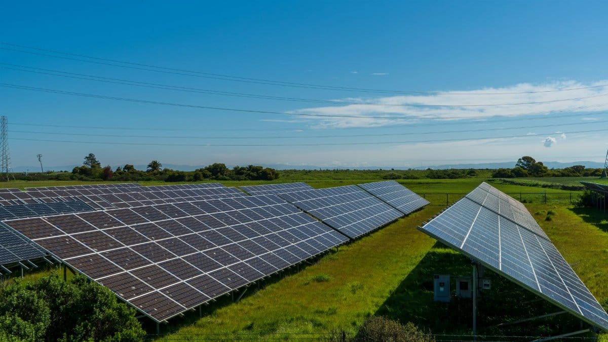 Solar panels in a lush rural field, generating renewable energy in San Rafael, CA.