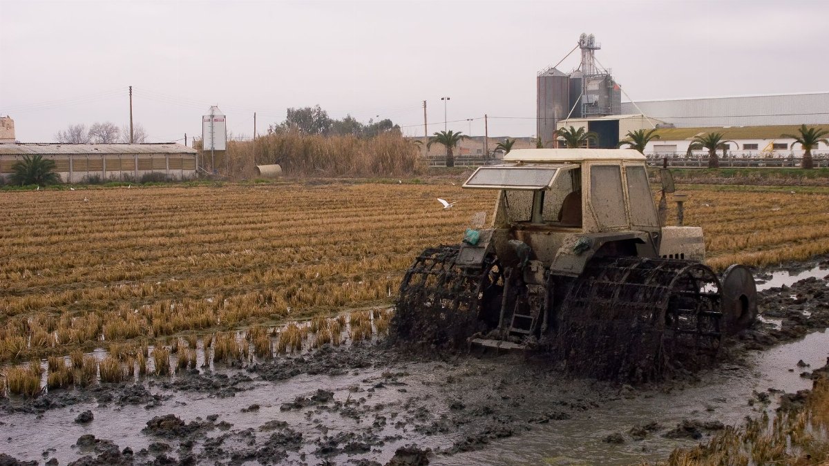 A tractor moves through a muddy, flooded farm field, showcasing agricultural challenges.