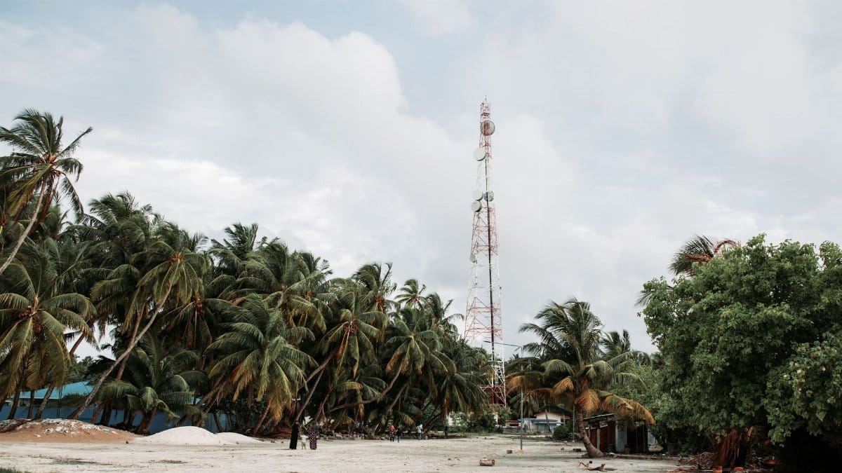 Idyllic tropical island scene with palm trees and a cell tower under a cloudy sky.