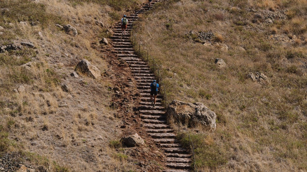 Hikers on a rocky trail ascending a mountain, showcasing outdoor adventure and exploration.