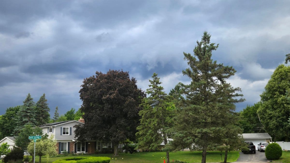 Suburban neighborhood with lush greenery under dramatic storm clouds, creating a moody atmosphere.