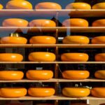 Multiple wheels of Gouda cheese displayed in a shop window with outdoor reflections.
