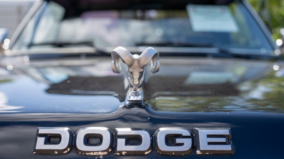 Close-up of vintage Dodge car hood with iconic ram ornament and logo in Nelson, Wisconsin.