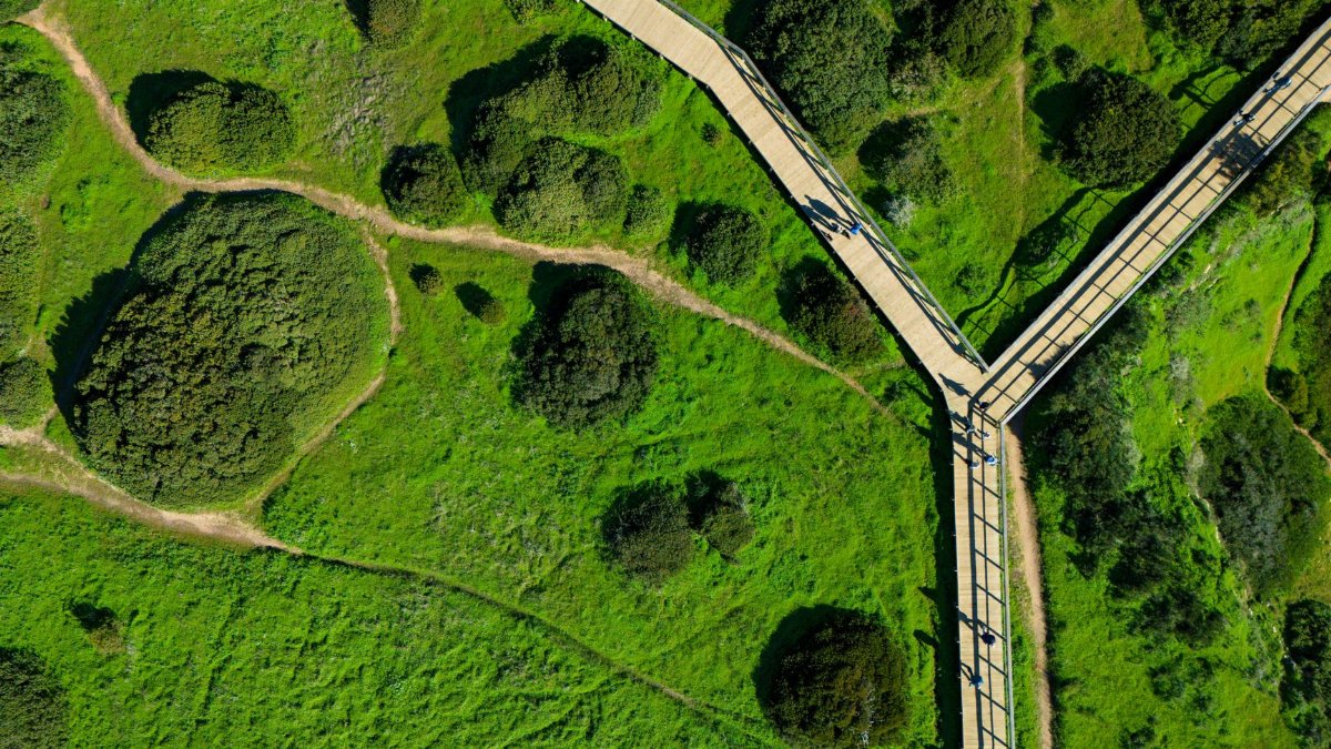 Aerial photo showing wooden walkways intersecting in lush green terrain.
