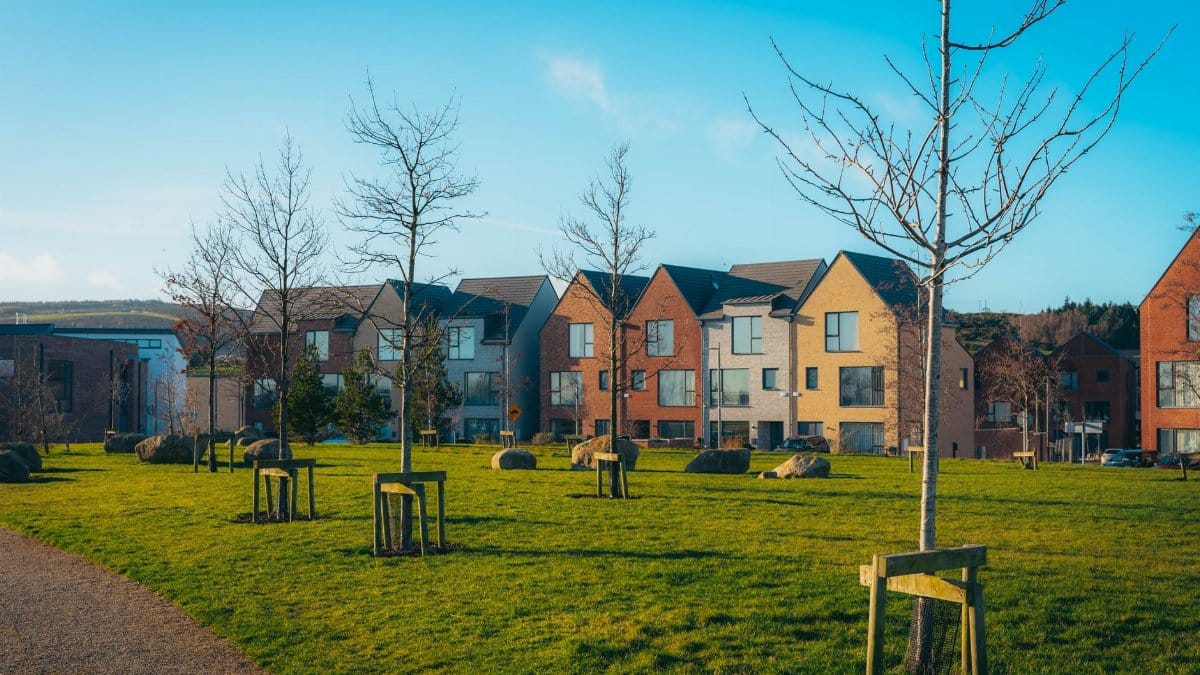 Scenic view of a modern residential area with green lawns and bare trees under a clear blue sky.