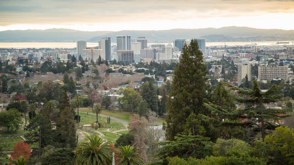 View of Oakland skyline with lush greenery and bay in the background showcasing urban nature harmony.