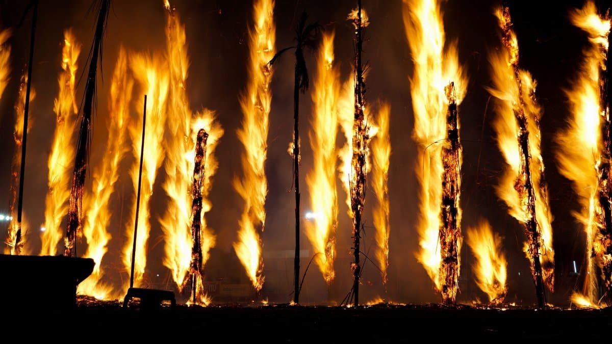Tall poles engulfed in flames, creating a dynamic night scene.