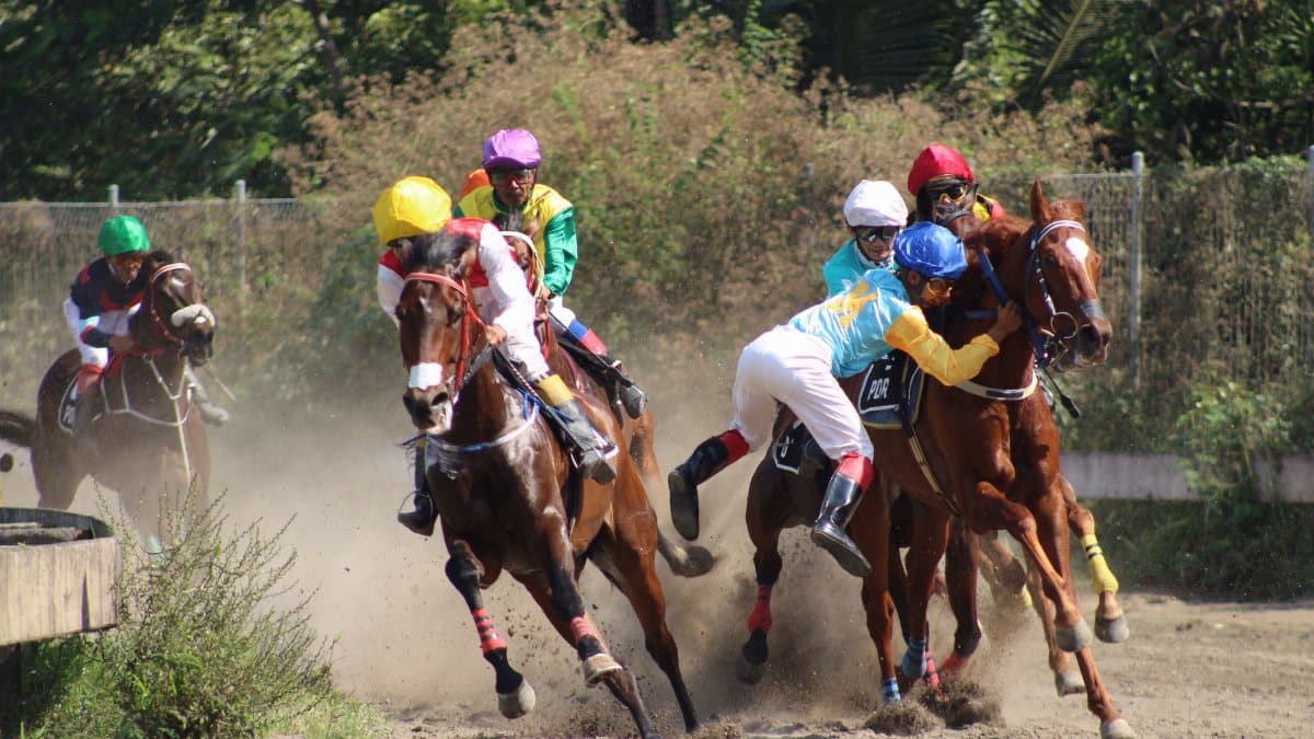 Horseman falling from horse during horse races with other participants galloping alongside in arena
