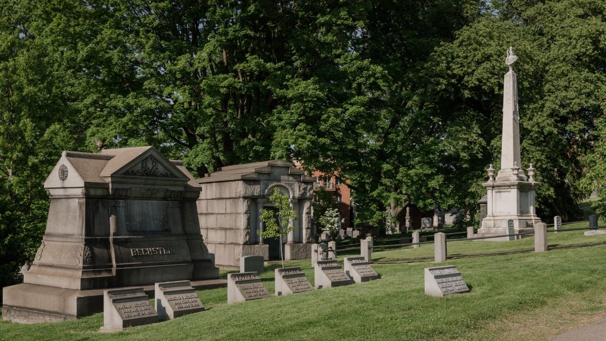 Peaceful cemetery scene with gravestones and monuments, surrounded by lush green trees.