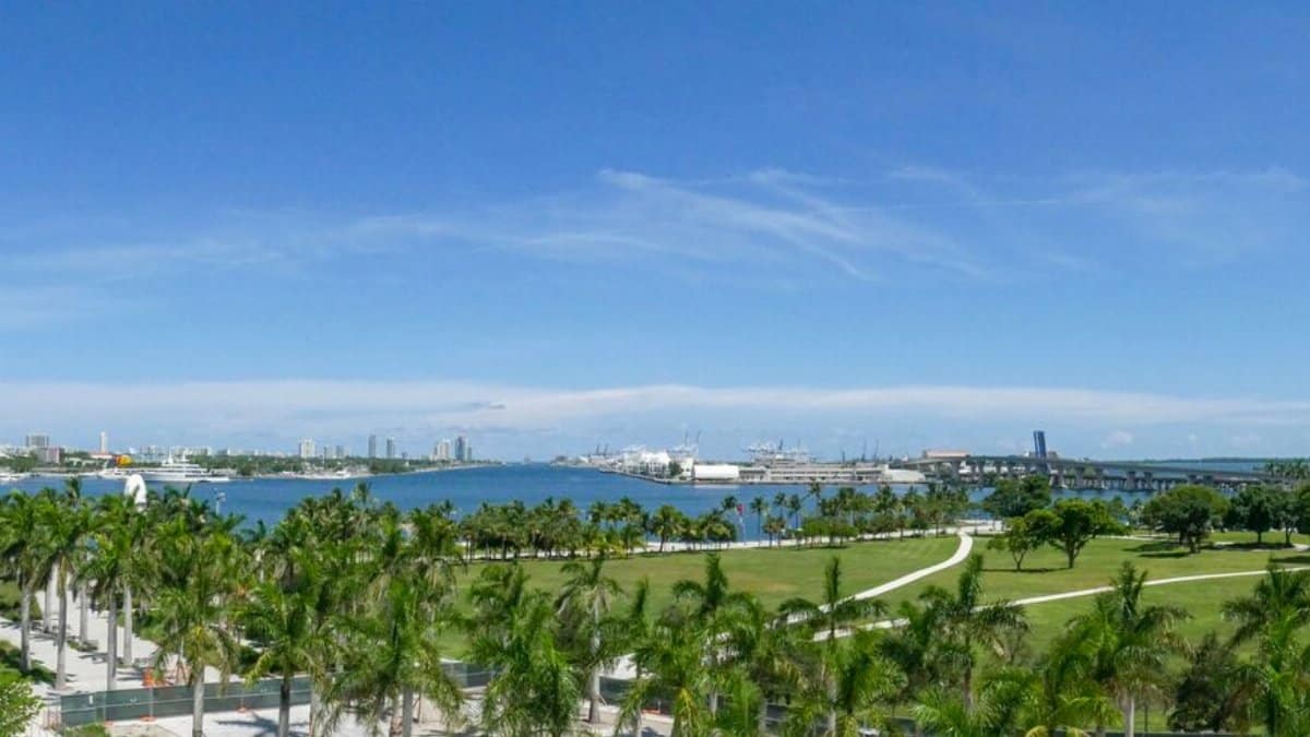 Discover the vibrant Miami skyline overlooking lush green parks and clear blue skies.