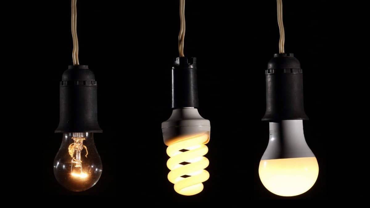 Close-up of incandescent, CFL, and LED bulbs, showcasing the evolution of lighting technology.