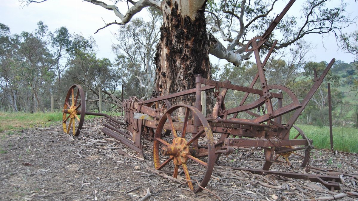 Rusty farm equipment by a tree in a rural countryside setting.
