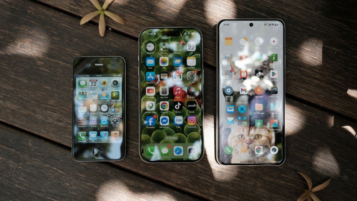 Aerial view of three smartphones with varied home screens on a wooden background with scattered dried flowers.