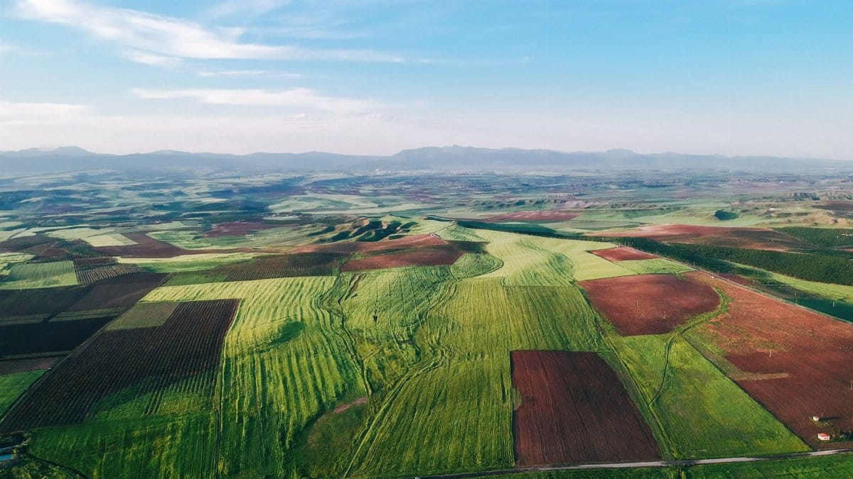 Expansive aerial landscape of green and brown agricultural fields under a clear blue sky.