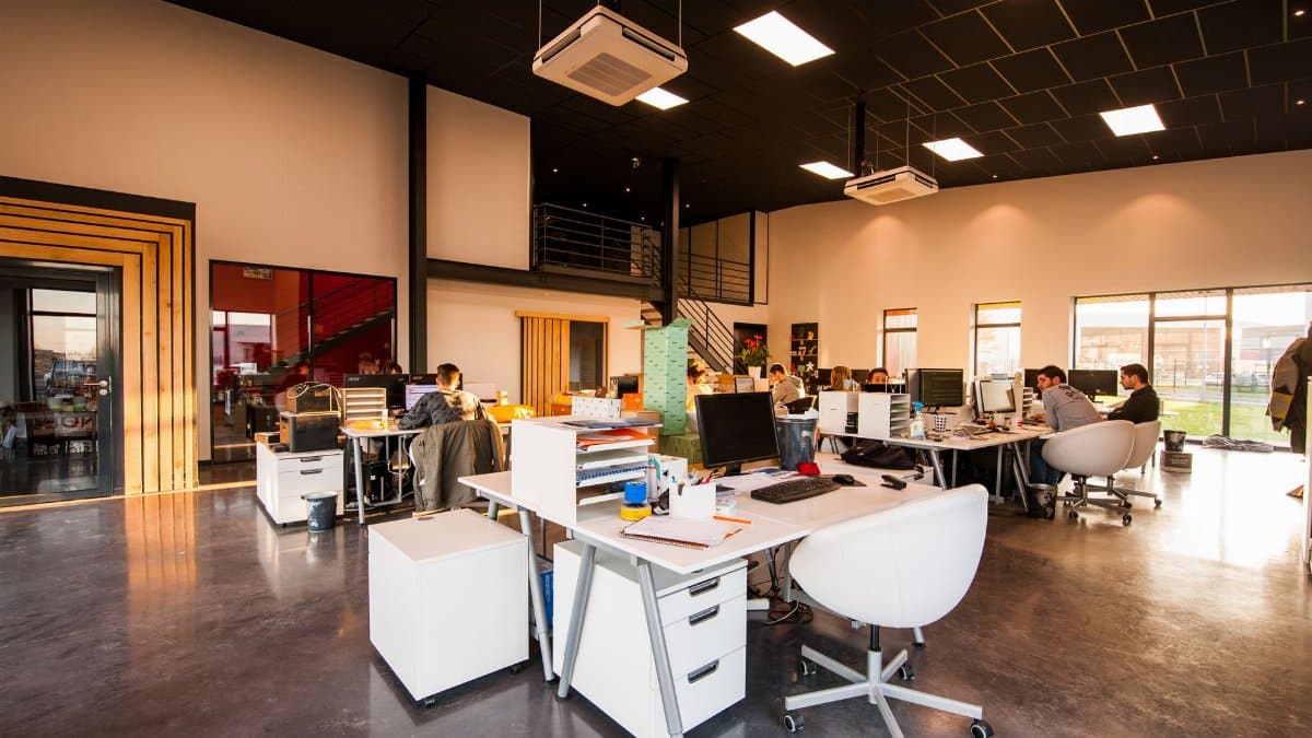 A spacious and modern open-plan office with natural lighting and employees working at desks.