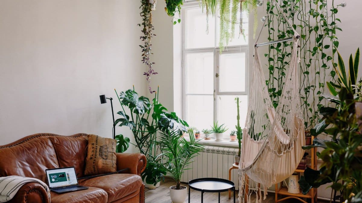 Modern living room with lush indoor plants, hammock, and sofa for a serene atmosphere.