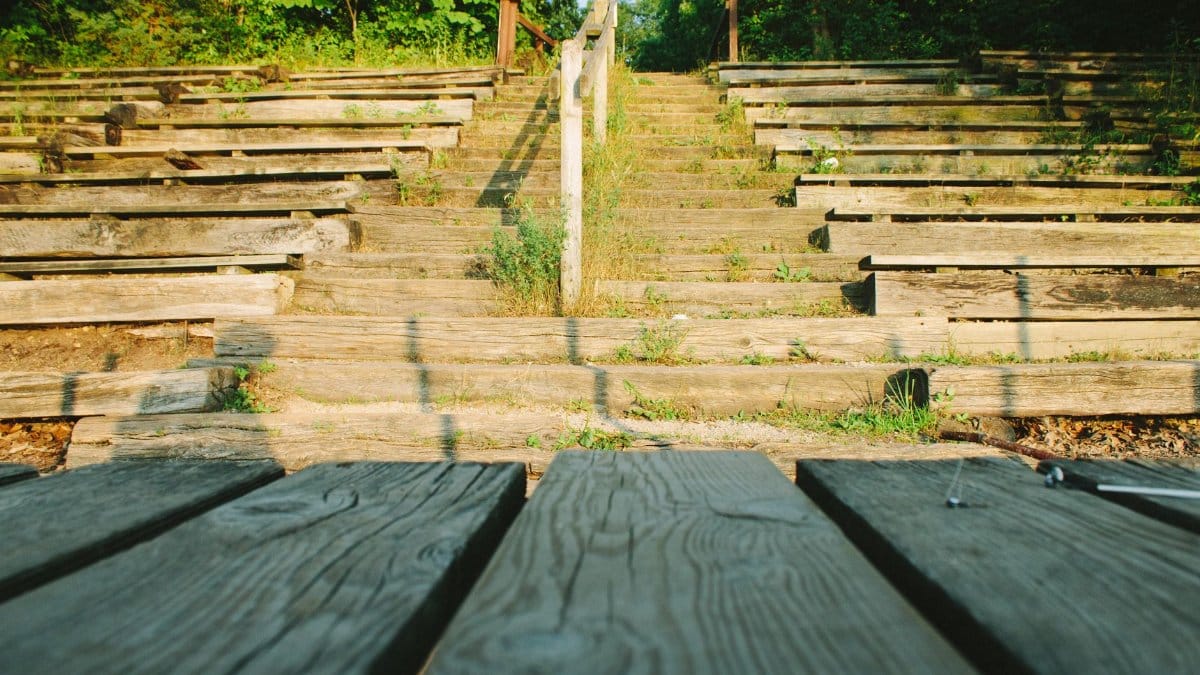 Sunlit wooden amphitheater seating with vibrant green foliage in a serene forest setting.