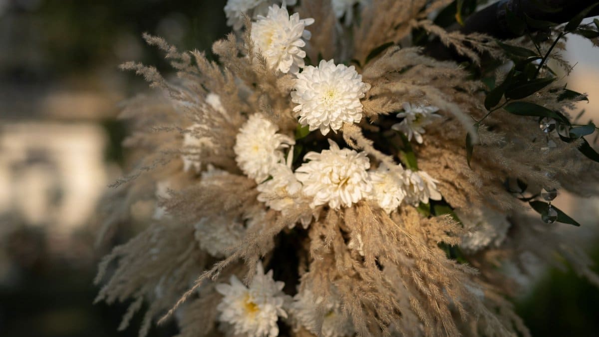 Close-up of a white floral arrangement featuring chrysanthemums and pampas grass outdoors in the afternoon sun.