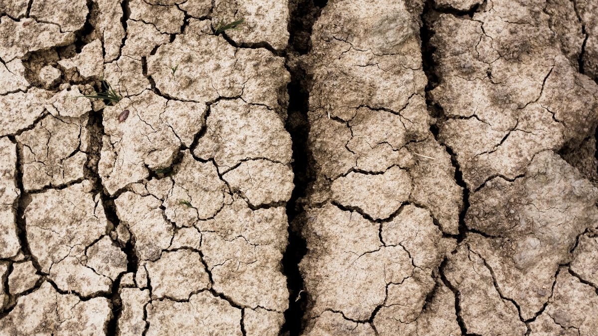 A close-up of cracked, dry soil illustrating severe drought conditions in Chitrashali, India.