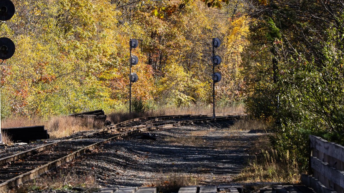 Rustic railway tracks in autumn scenery with crossing signals and vibrant foliage.