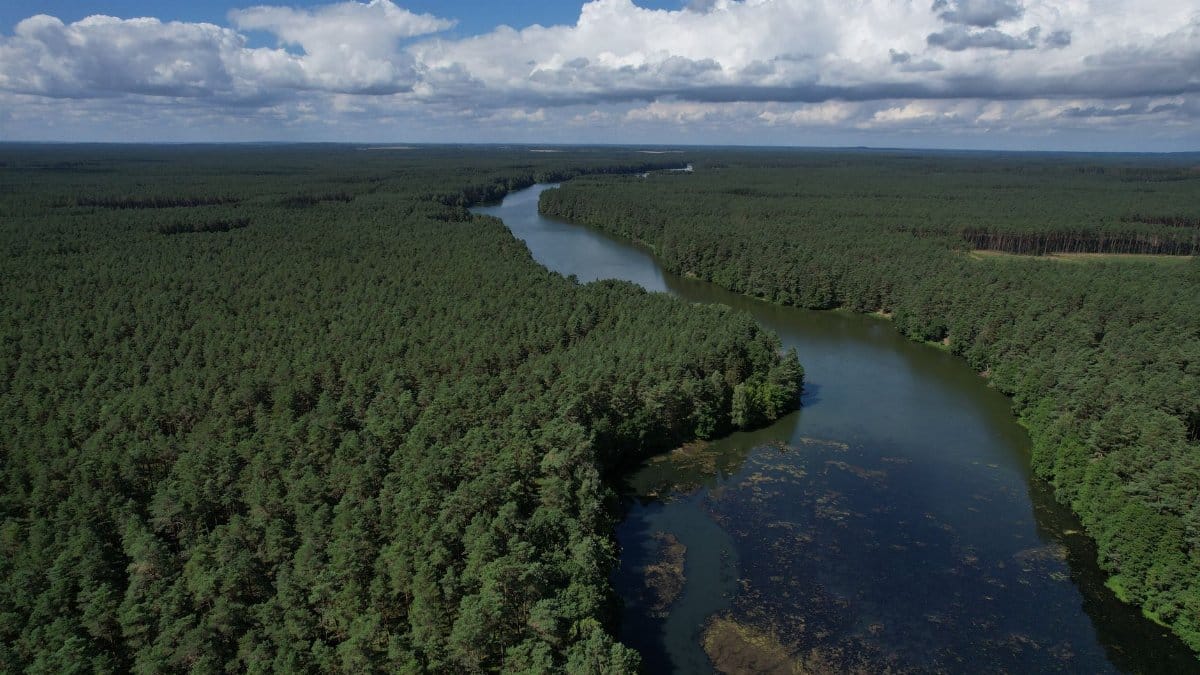 Aerial photography of a winding river cutting through a lush green forest under a cloudy sky.