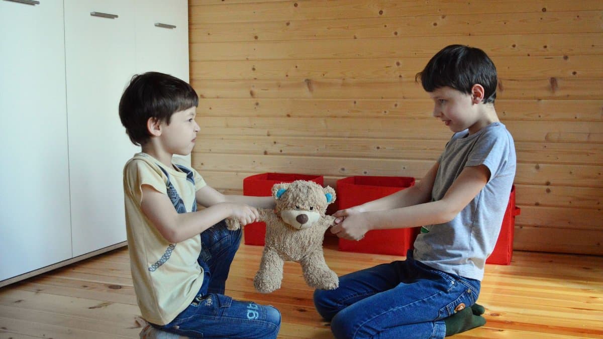 Side view full length irritated fighting brothers sitting on floor and pulling teddy bear to sides