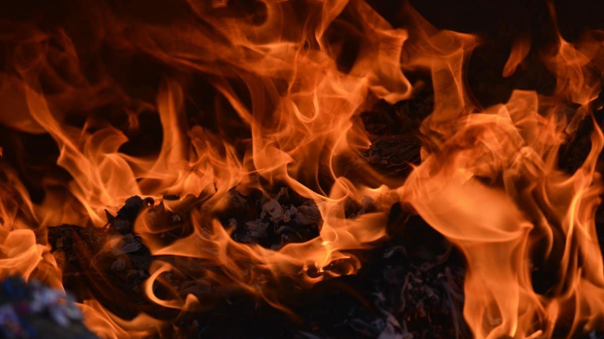 Captivating image of a blazing fire, showcasing intense orange flames and glowing embers.