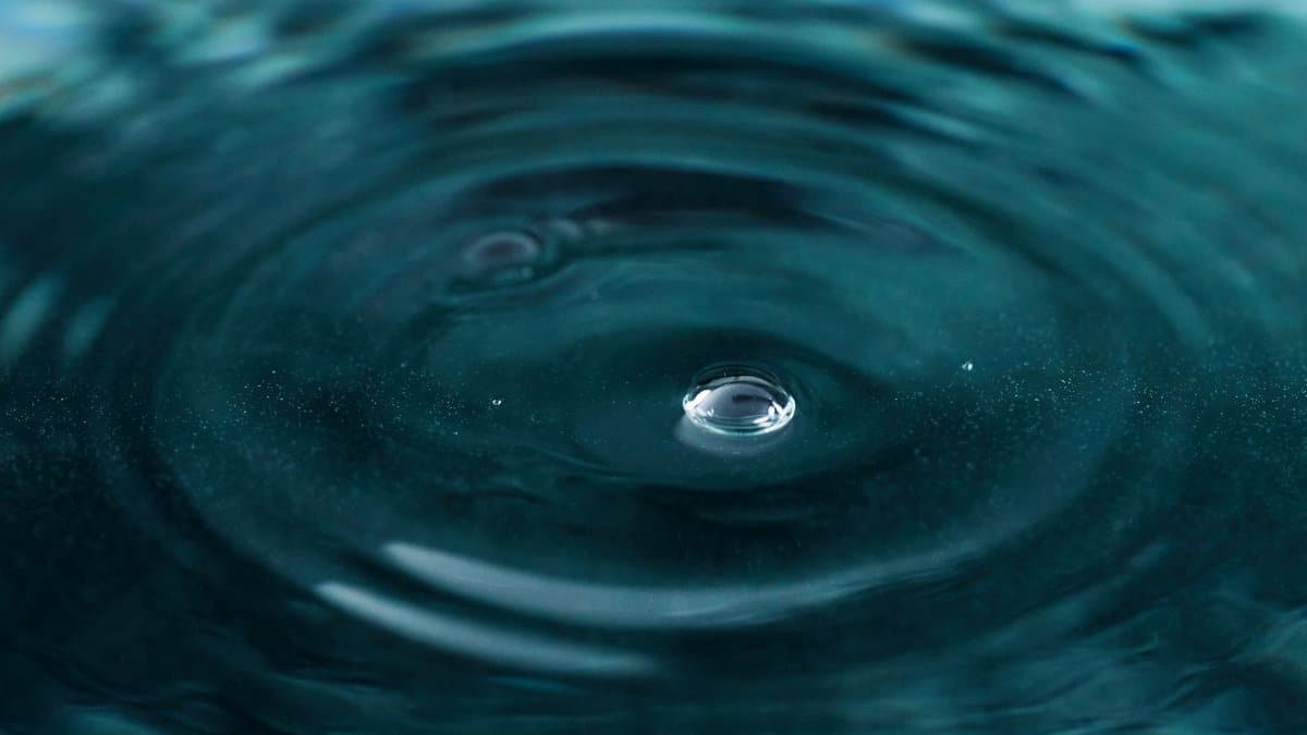 Serene close-up of a water droplet creating concentric ripples. Ideal for backgrounds.