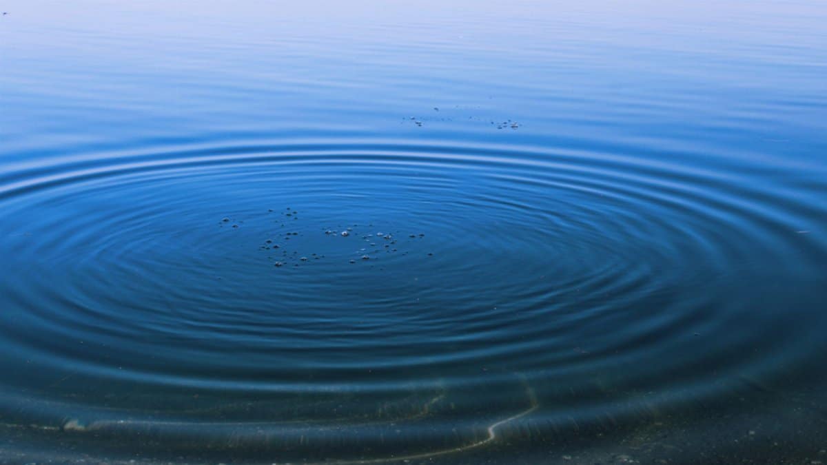 Peaceful scene of ripples expanding across a calm blue water surface.