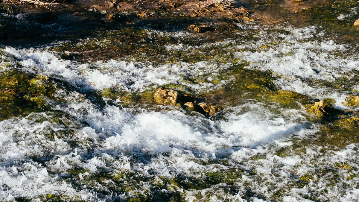 Captivating image of a flowing stream with clear water over moss-covered rocks, depicting nature's tranquility.
