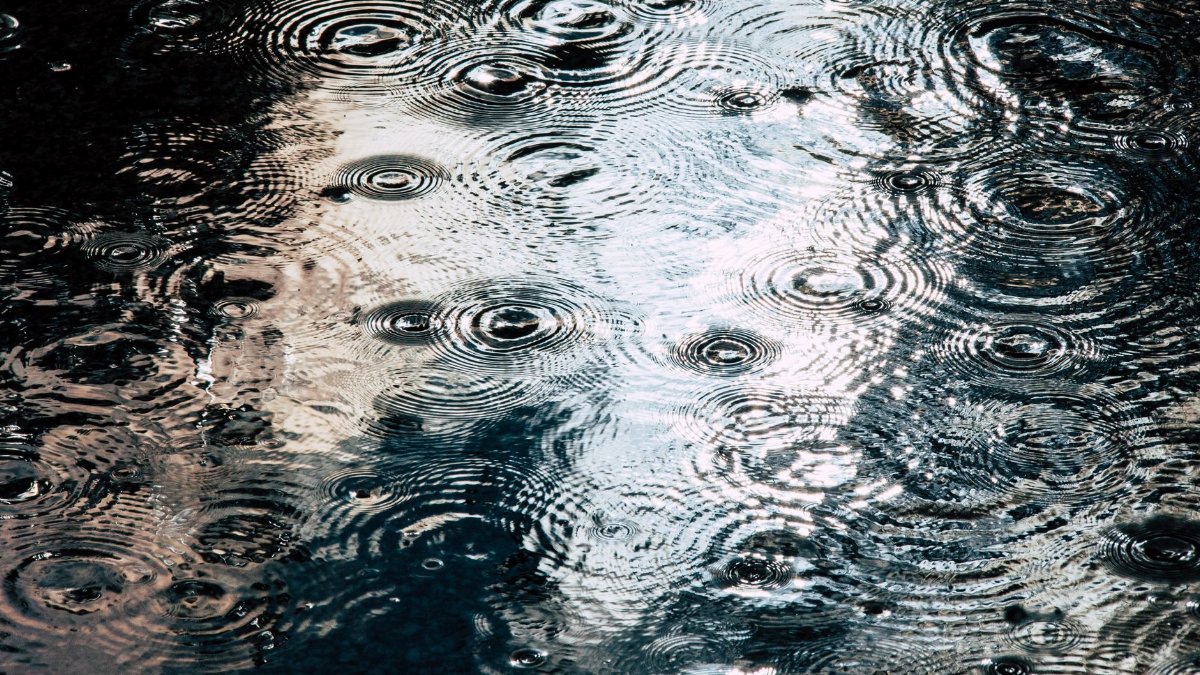 Raindrops creating ripples on a water surface, a serene and calming natural scene.