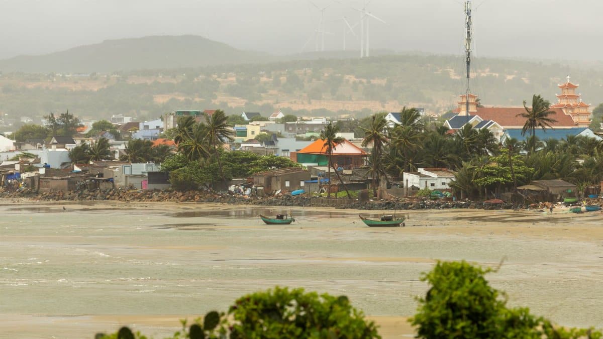 Coastal village scene with palm trees, boats, and wind turbines under a cloudy sky.