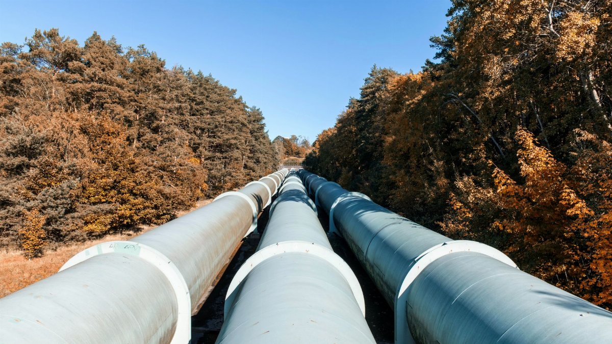 Large pipelines meandering through a colorful autumn forest, showcasing sustainable energy transport.