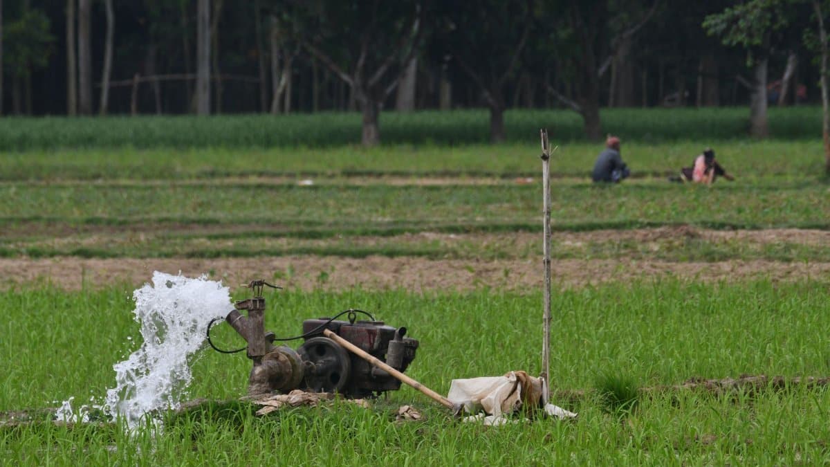 Water irrigation pump in lush green fields of Rangpur, Bangladesh, highlighting rural agriculture.