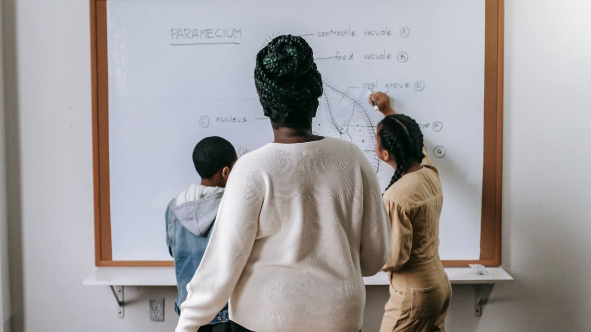 Back view of anonymous African American woman watching on pupils writing on whiteboard in classroom