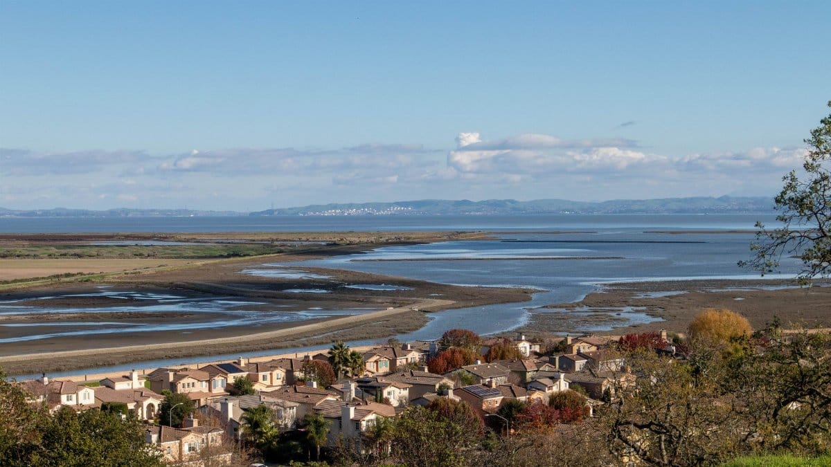 Aerial view of residential area with coastal bay and mountains in the background.