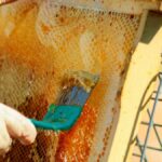 Detailed close-up of honey being extracted from a honeycomb frame using a tool in a bee farm.