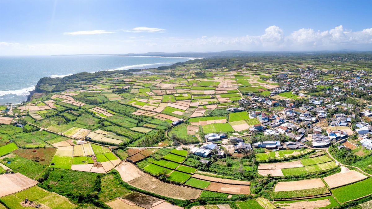 Breathtaking aerial view of lush farmland and rural village by the coast.